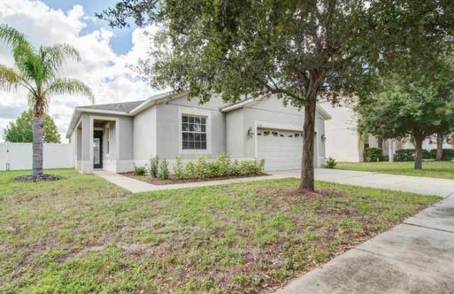 11228 Flora Springs Drive Gallery 2