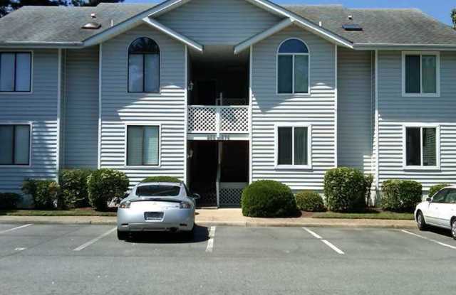 BEACH BOROUGH photos photos