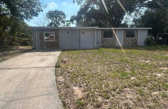 Ready for move in this month! - 1204 East Camellia Drive, Brandon, FL 33510
