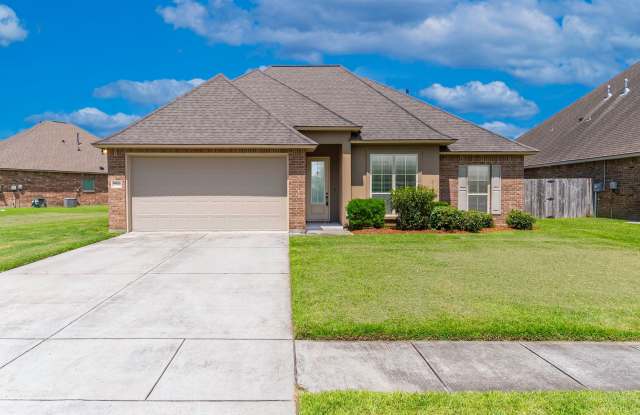 4 Bedroom House in Ascension Parish School District - 17544 Soaring Flight Drive, Ascension County, LA 70769