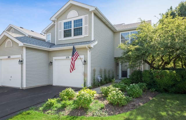379 Maidstone Court - 379 Maidstone Court, Schaumburg, IL 60194