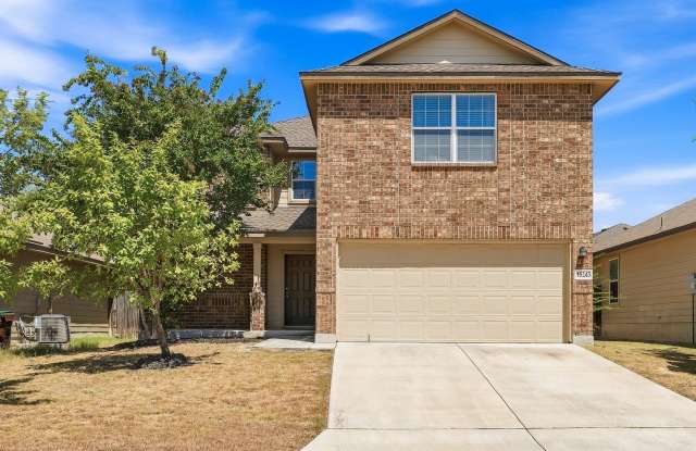 15243 Cinnamon Teal Gallery 1