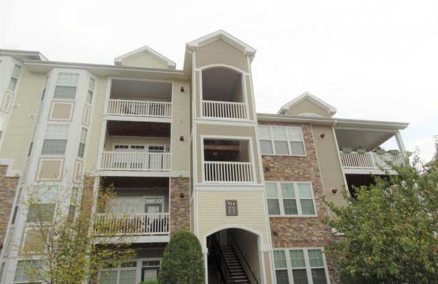 514 SE SUNSET VIEW TERRACE SE - 514 Sunset View Ter SE, Leesburg, VA 20175