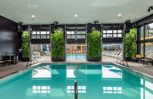 Lumina Apartments Gallery 2