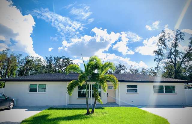 4814 West Linebaugh Avenue - 4814 West Linebaugh Avenue, Carrollwood, FL 33624