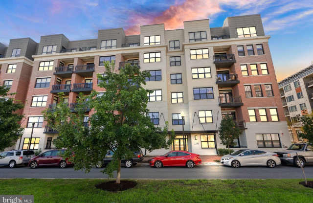 701 SWANN AVENUE photos photos
