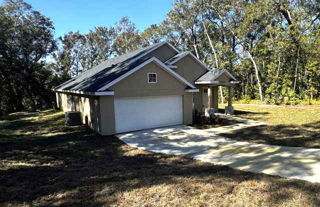 25919 Sackamaxon Dr - 25919 Sackamaxon Drive, Mount Plymouth, FL 32776