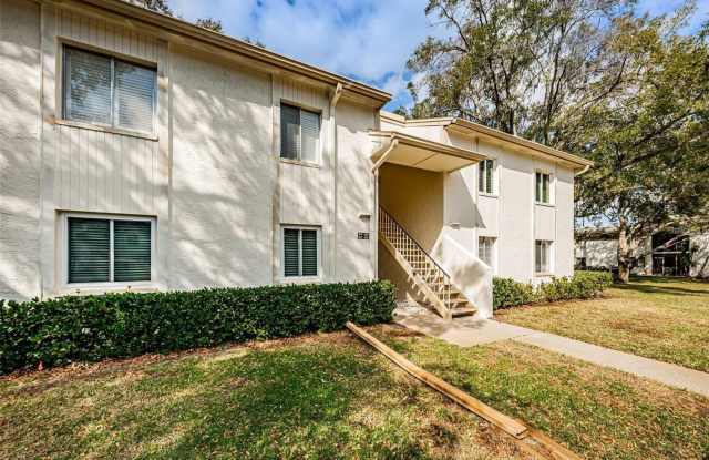 217 PALMETTO COURT photos photos