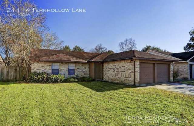 21114 Fernhollow Lane - 21114 Fernhollow Lane, Harris County, TX 77388