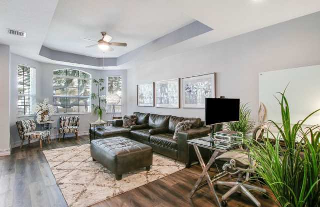 2434 San Pietro Circle Gallery 4
