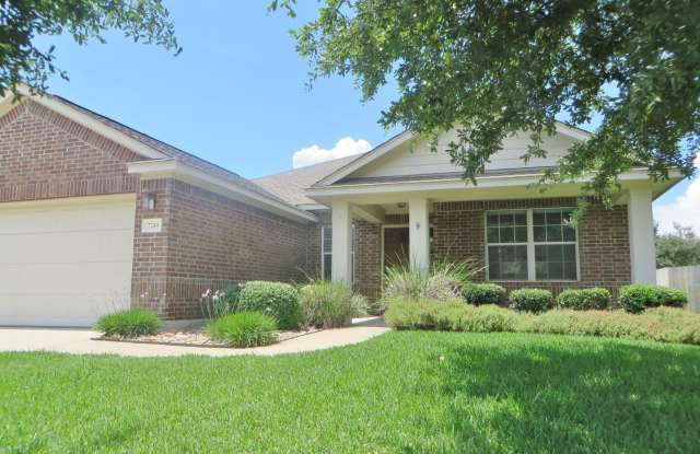 7749 Squirrel Hollow Drive - 7749 Squirrel Hollow Drive, Georgetown, TX 78628