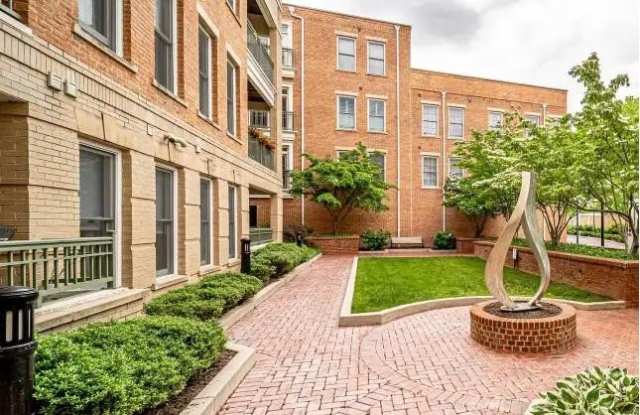 1115 CAMERON ST #216 Gallery 2