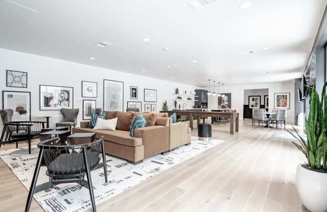 Muse Apartments Gallery 3
