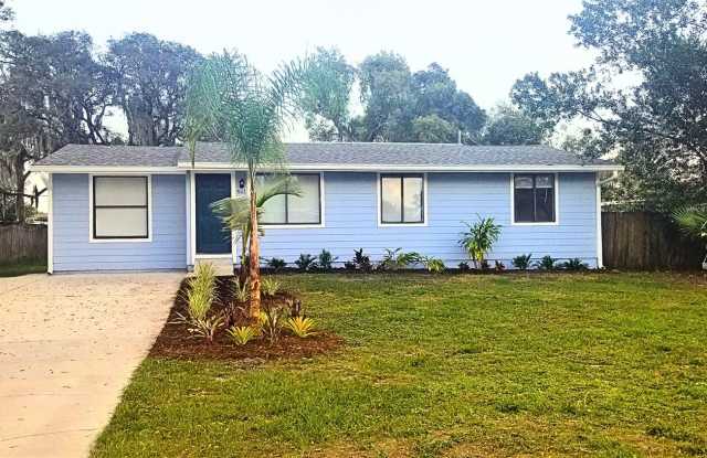 421 East 3rd Street - 421 East 3rd Street, Chuluota, FL 32766