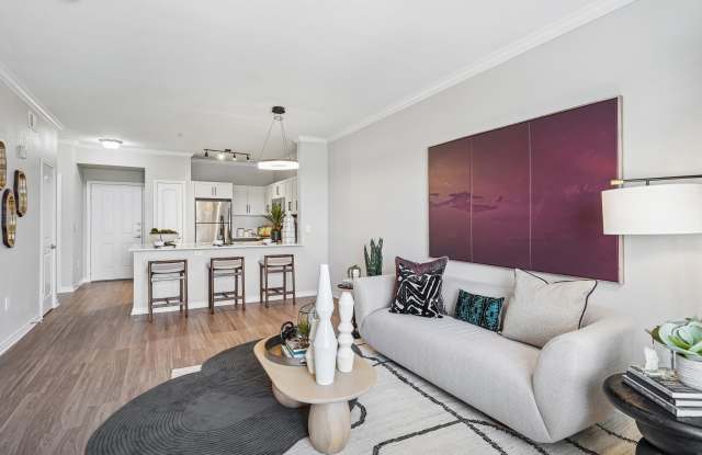 Elan At Bluffview Apartments photos photos