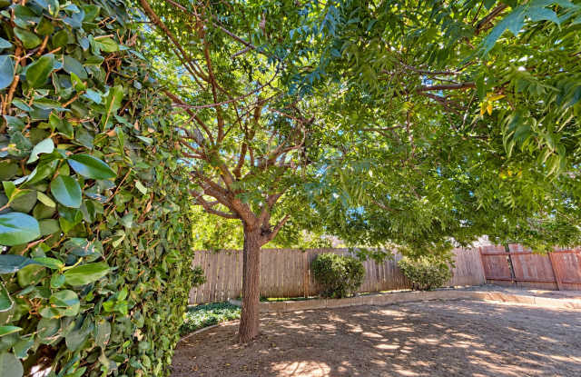 3161 Laurashawn Ln Gallery 3