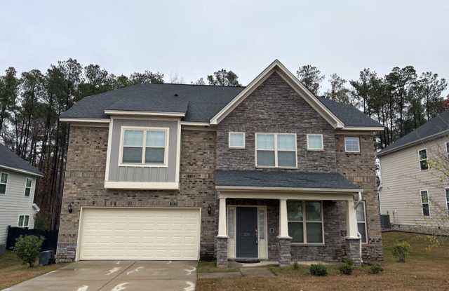 230 Wading Bird Loop - 230 Wading Bird Loop, Richland County, SC 29016