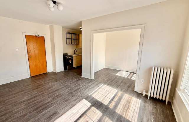 1066 W Berwyn Gallery 4