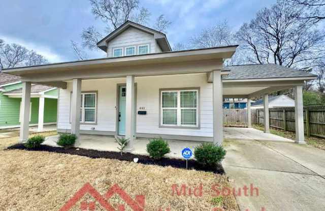 441 Josephine Street - 441 Josephine Street, Memphis, TN 38111