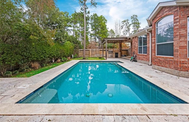 23 Bryce Branch Circle - 23 Bryce Branch Circle, The Woodlands, TX 77382