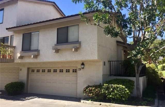 29 Morning Star photos photos