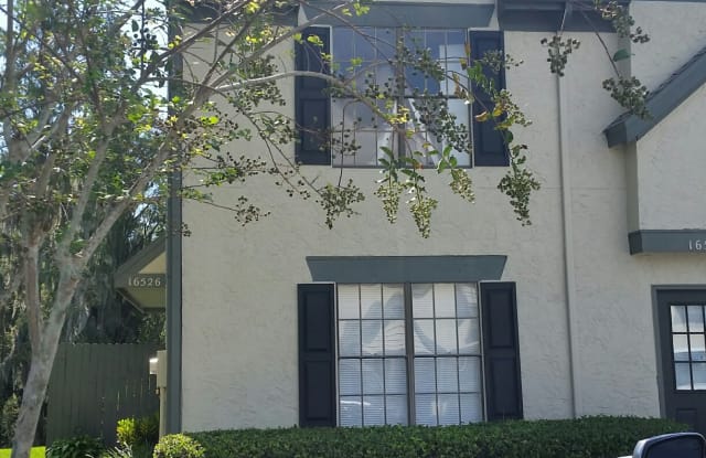 16526 Brigadoon Drive - 16526 Brigadoon Drive, Lake Magdalene, FL 33618