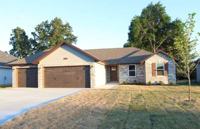 Great brand new home! - 282 Hickory Hills Street, Rogersville, MO 65742