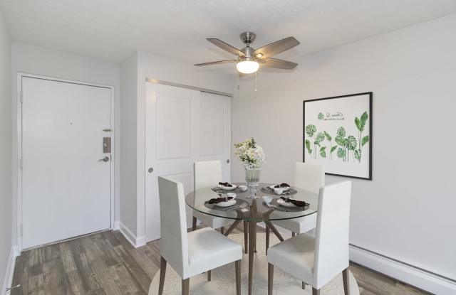 Twin Pines Gallery 4