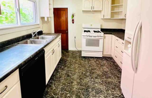 5 Bedroom with den, 2 Bathroom House in Downtown Burlington w/Off-Street Parking & Washer/Dryer included! (45 Murray Street) Gallery 3