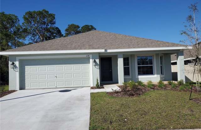 1138 BERRY Lane, DAVENPORT, FL 33837-8632 photos photos