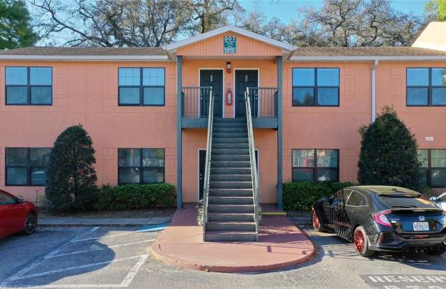 307 OAK ROSE LANE - 307 Oak Rose Lane, Lake Magdalene, FL 33612
