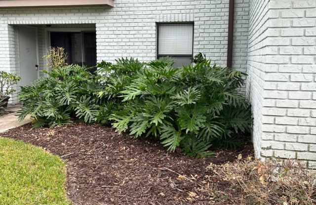 3088 Plaza Terrace Dr - 3088 Plaza Terrace Drive, Orlando, FL 32803