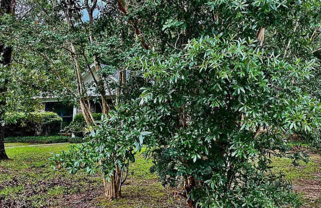 Charming 3BR House in Mobile Gallery 3