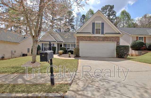 342 Hunterian Place - 342 Hunterian Place, Newnan, GA 30265