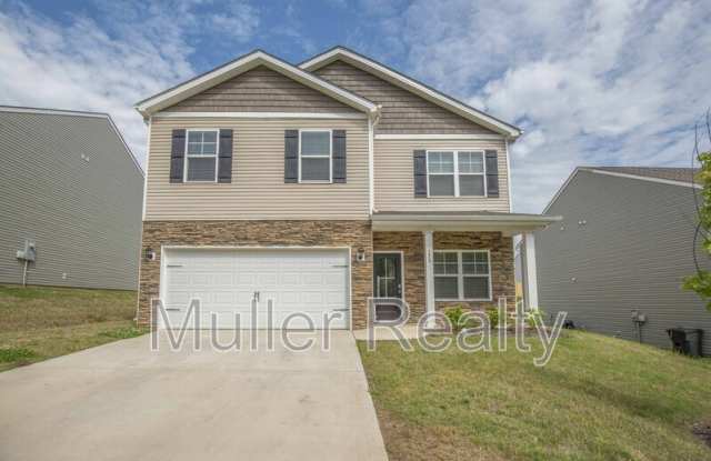 173 Ash Ave - 173 Ash Avenue, Lenoir City, TN 37771