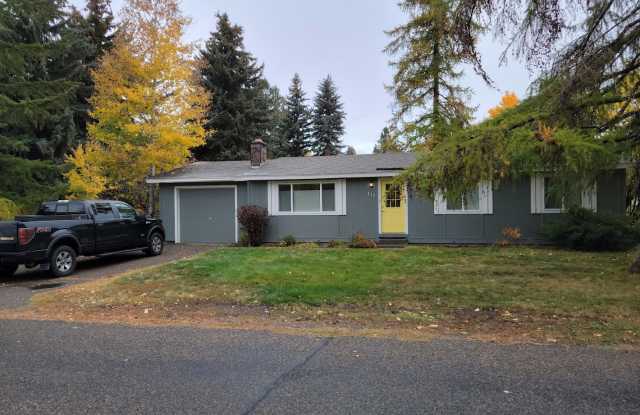 111 Della Vista Drive - 111 Della Vista Drive, Hailey, ID 83333