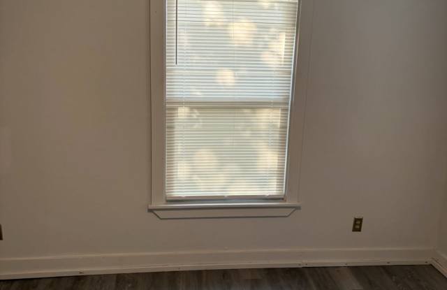167 Butler Street Gallery 3