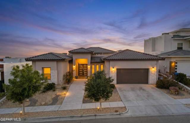1356 DESERT NIGHT Street Gallery 1