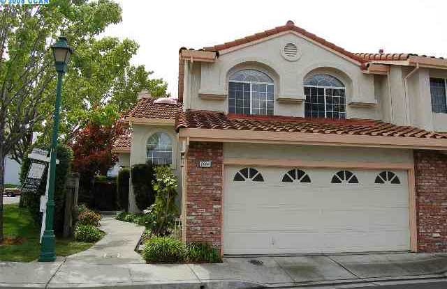 2084 Calle Mesa Alta photos photos