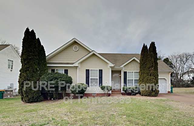 2829 Rippavilla Way - 2829 Rippavilla Way, Spring Hill, TN 37174
