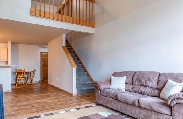 221 Langdon Street - 221 Langdon Street, Madison, WI 53703