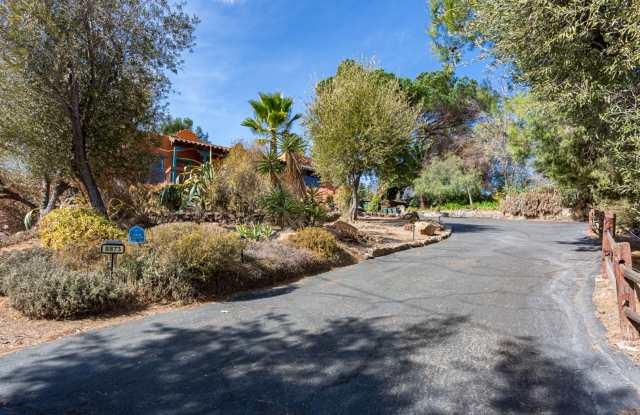 Spanish Style Oasis! photos photos