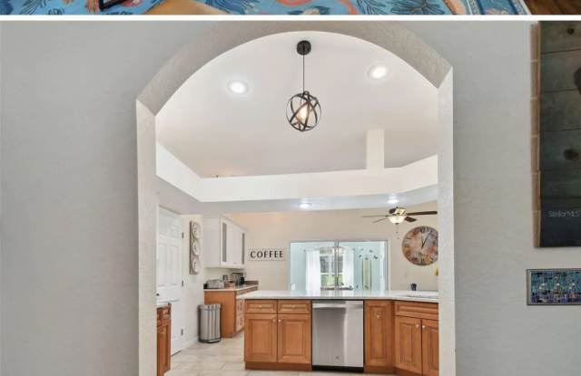 811 Virginia Avenue - 811 Virginia Avenue, Tarpon Springs, FL 34689