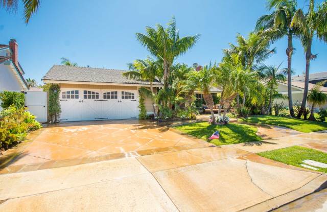 Welcome to Paradice - SHOWINGS START AUGUST 1 photos photos