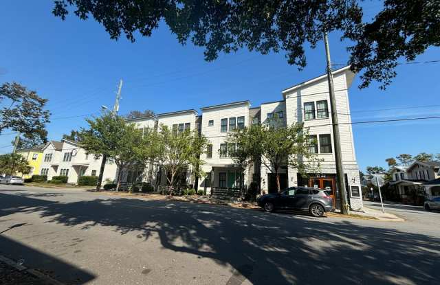 UPSCALE 2 BED/1.5 BATH APARTMENT IN THE HEART OF SAVANNAH! Gallery 3