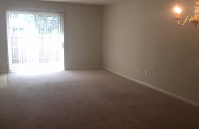 1002 Settlement Drive, Williamsburg, VA 23188 Gallery 4
