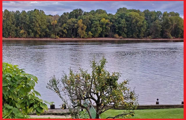 502 Radcliffe Street photos photos