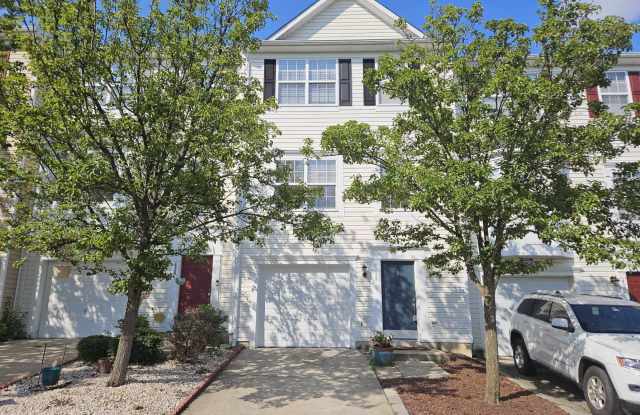 424 SPARKLEBERRY TERRACE NE - 424 Sparkleberry Terrace Northeast, Leesburg, VA 20176