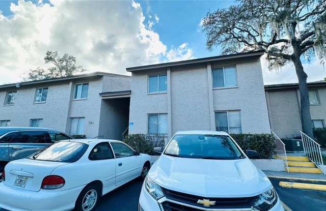 7504 PRESLEY PLACE - 7504 Presley Place, East Lake-Orient Park, FL 33617