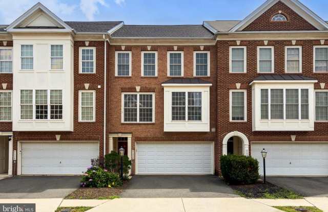 21776 LADYSLIPPER Square Gallery 4